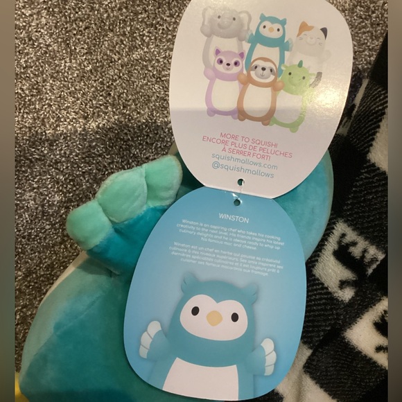 Squishmallow Winston Hug Mees - Picture 4 of 4